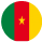 cameroon flag